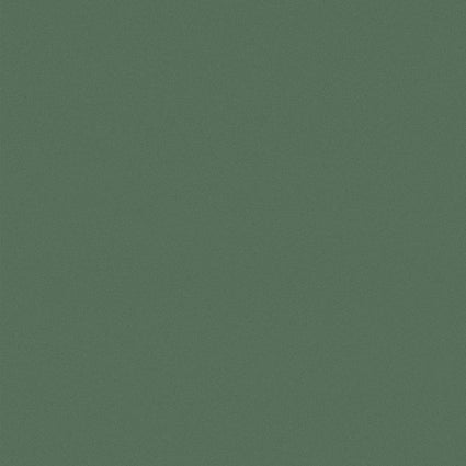 Duschrückwand - Amazonasgrün (250x100cm)